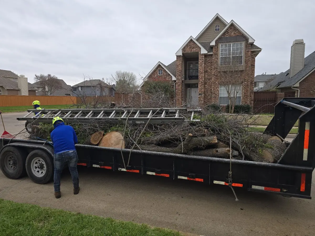 Expert Tree Fertilization with proper safety equipment in Platter